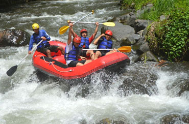 Ayung Rafting and Bali Bird Park Packages