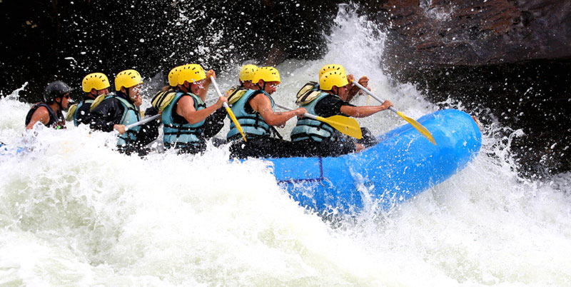 Ayung Rafting and Bali Bird Park Packages