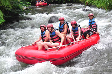 Ayung Rafting and Safari Park Packages