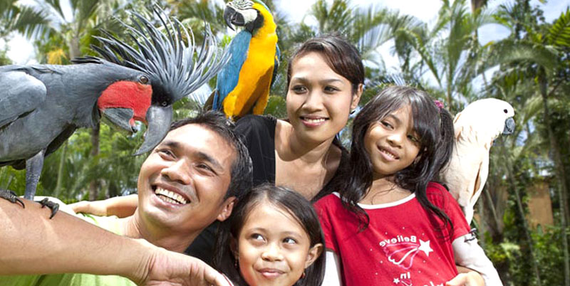 Bali Bird Park