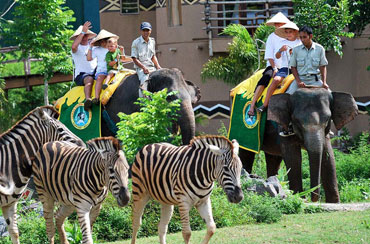 Bali Safari and Marine Park