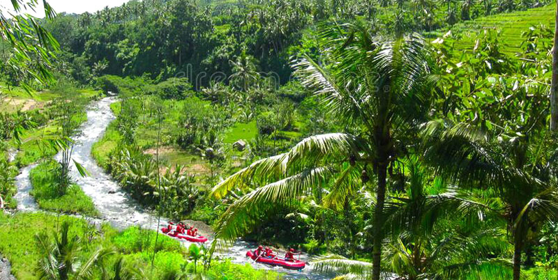 Bali Triple Activities