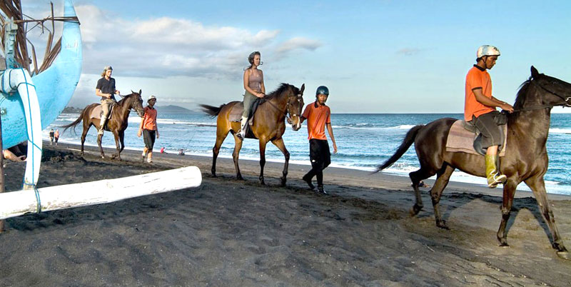 Bali Horse Riding