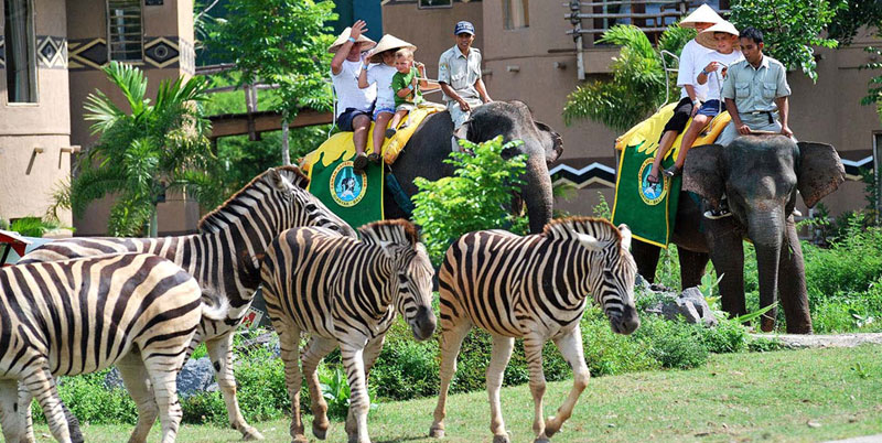 Bali Safari and Marine Park